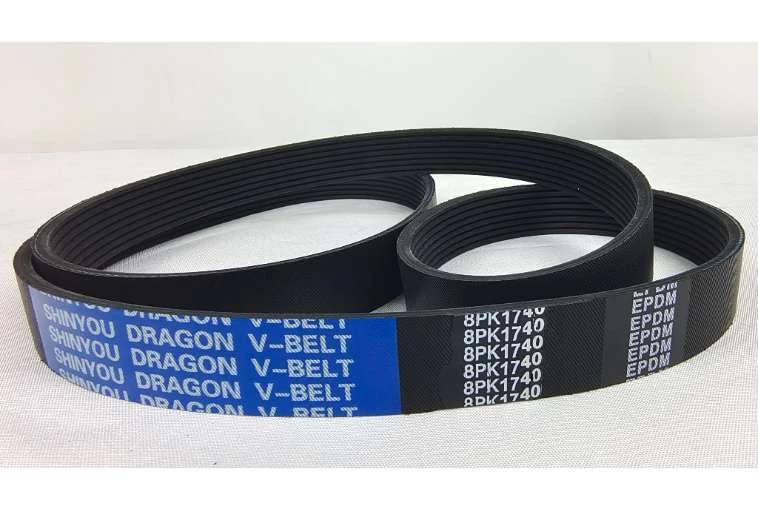 IMG_20240809_105128.jpg IMG_20240809_105128.jpg