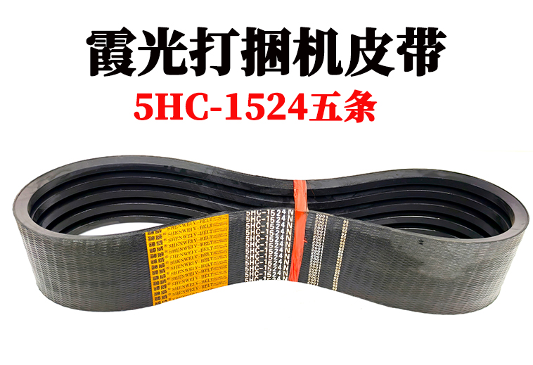 5hc-1524.jpg