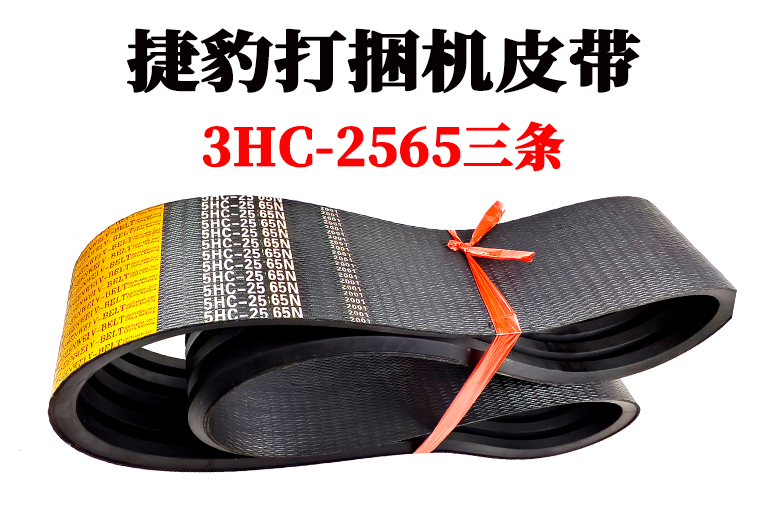 3HC-2565.jpg