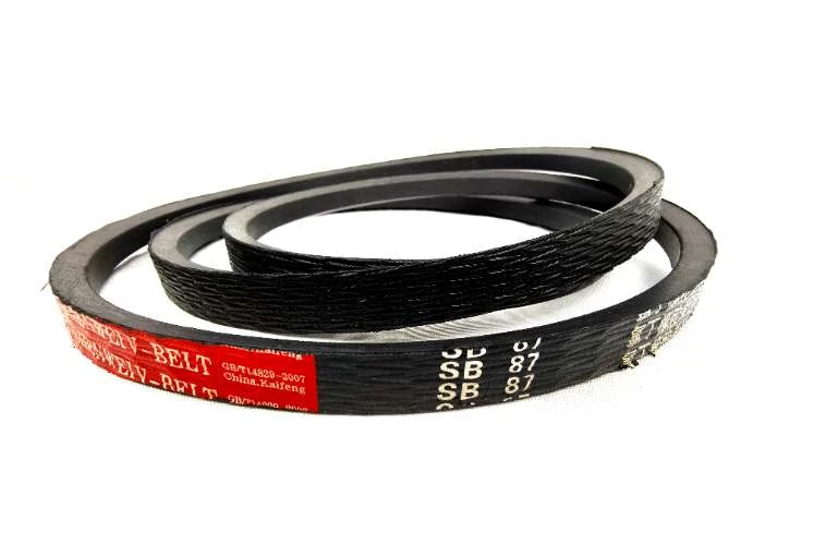 IMG_20241006_150510.jpg IMG_20241006_150510.jpg