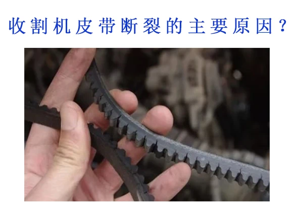 收割机皮带断裂的主要原因.jpg 收割机皮带断裂的主要原因.jpg